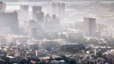 Karnataka Air Quality Remains Good as Bengaluru Records AQI 29