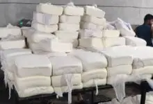 Karnataka Bans Artificial Analog Paneer Across State For One Year