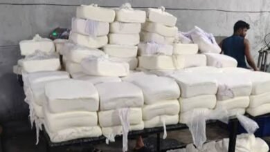 Karnataka Bans Artificial Analog Paneer Across State For One Year