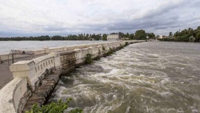 Karnataka Dam Water Level: Alamatti Nears Full Capacity as KRS and Hemavathi Levels Rise