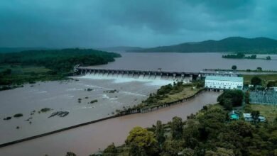 Karnataka Dam Water Level Today: KRS, Almatti, Basava Sagara and Linganamakki Update