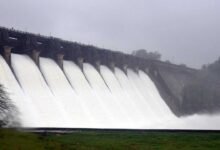 Karnataka Dam Water Levels On August 28 KRS Inflow Falls While Alamatti Nears Full Capacity