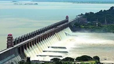 Karnataka Dam Water Levels on August 15: Alamatti Near Full Capacity
