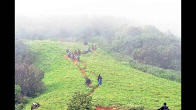 Karnataka Forest Department Tightens Trekking Rules After Rising Accidents And Missing Cases