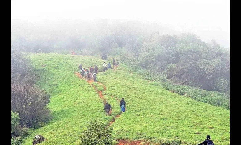 Karnataka Forest Department Tightens Trekking Rules After Rising Accidents And Missing Cases