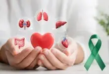 Karnataka Organ Donation Rises, But Kidney Transplant Patients Still Wait Years