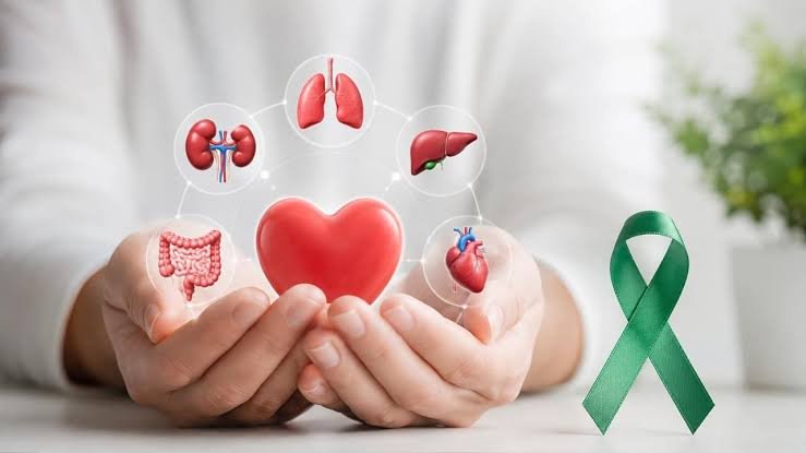 Karnataka Organ Donation Rises, But Kidney Transplant Patients Still Wait Years