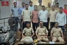 Karnataka Police Crack Down on Cannabis Cases Across Three Districts
