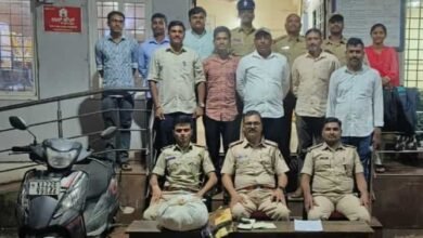 Karnataka Police Crack Down on Cannabis Cases Across Three Districts