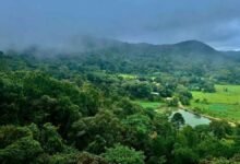Karnataka Records Clean Air As Bengaluru And Hubballi Dharwad See Good AQI Levels