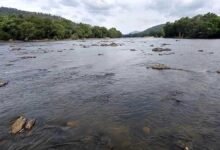 Karnataka Responds to Tamil Nadu Plea in Cauvery Water Dispute