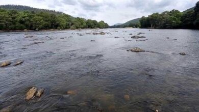 Karnataka Responds to Tamil Nadu Plea in Cauvery Water Dispute