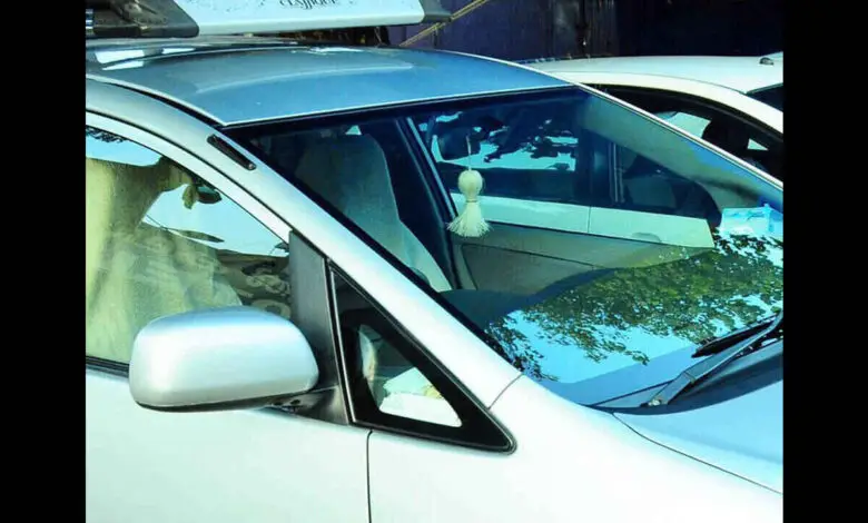 Karnataka Transport Department Issues Notices to Ola Uber Rapido and Namma Yatri