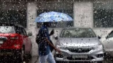 Karnataka Weather Alert: Monsoon Rains Intensify, Five Districts Under Yellow Alert
