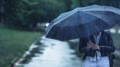 Karnataka Weather Update Coastal And Malnad Districts Face Heavy Rain Alert