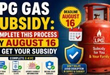 LPG Gas Subsidy: Complete This Process by August 16 to Get Your Subsidy