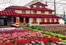 Lalbagh Flower Show 2026 to Showcase the Glorious Ganga Dynasty Through Stunning Floral Art