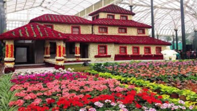 Lalbagh Flower Show 2026 to Showcase the Glorious Ganga Dynasty Through Stunning Floral Art