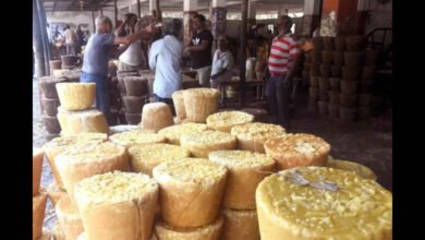 Mahalingapur Jaggery Market Faces a Bitter Decline After Years of Glory