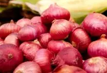 Onion Price Hike: Rising Rates Leave Karnataka Consumers Worried