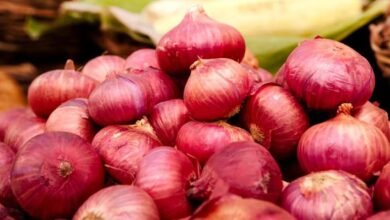 Onion Price Hike: Rising Rates Leave Karnataka Consumers Worried