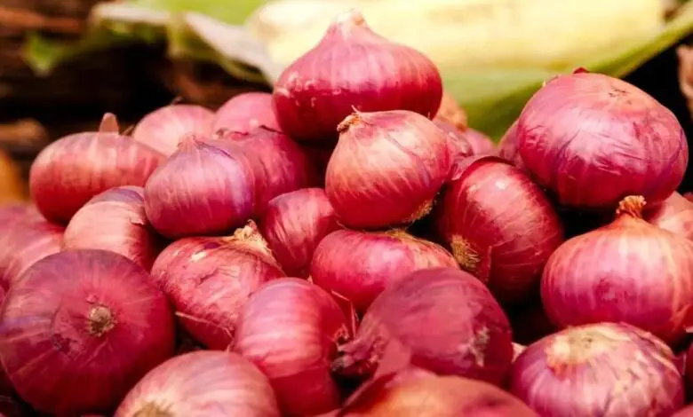 Onion Price Hike: Rising Rates Leave Karnataka Consumers Worried