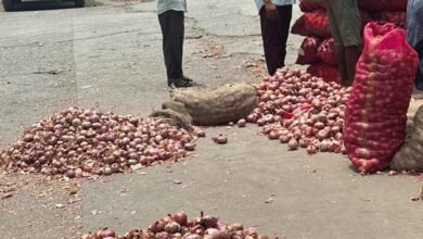 Onion Prices Surge Across Karnataka But Farmers Still Struggle To Benefit