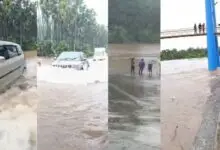 Relentless Rain Triggers Flood Fears Across Chikkamagaluru as Tunga and Bhadra Rivers Overflow
