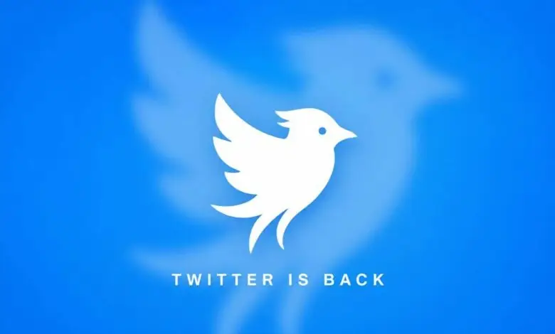 Twitter Name Returns As Twitter.now Launches Amid Trademark Dispute With X