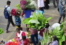 Varamahalakshmi Festival Pushes Flower and Fruit Prices Higher in Bengaluru