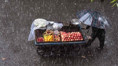 Weak Monsoon Pushes Vegetable Prices Higher Across Karnataka