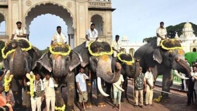 Abhimanyu To Return For 2026 Mysuru Dasara As Nishane Elephant