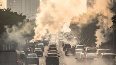 Bengaluru AQI Improves as Rain Brings Cleaner Air