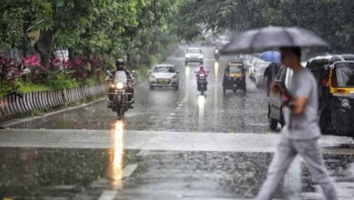 Bengaluru Air Quality Improves as Rain Reduces Pollution