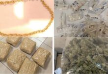 Bengaluru Airport Customs Seize Ganja and Gold in Multiple Cases