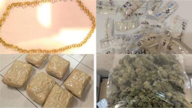 Bengaluru Airport Customs Seize Ganja and Gold in Multiple Cases