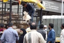 Bengaluru Chicken Shops Bandh On September 3 And 4 Over Waste Disposal Fee