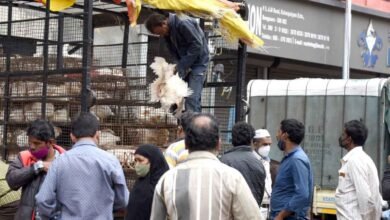 Bengaluru Chicken Shops Bandh On September 3 And 4 Over Waste Disposal Fee