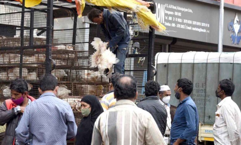 Bengaluru Chicken Shops Bandh On September 3 And 4 Over Waste Disposal Fee