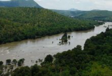 Big Blow to Karnataka: CWRC Orders 4,000 Cusecs of Cauvery Water to Tamil Nadu daily