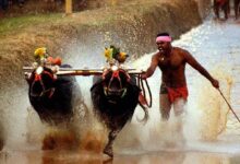 Kambala Association Seeks Rs 5 Crore Government Grant