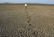 Karnataka Drought Hit Farmers Get Relief on Loan Repayment