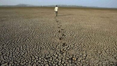 Karnataka Drought Hit Farmers Get Relief on Loan Repayment