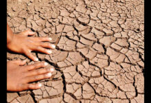 Karnataka Faces Drought Pressure as Water and Power Shortages Loom