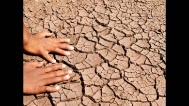 Karnataka Faces Drought Pressure as Water and Power Shortages Loom