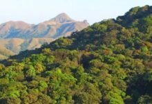 Karnataka Forest Department Extends Recruitment For 750 Forest Observer Posts