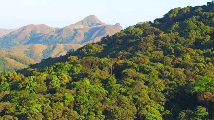 Karnataka Forest Department Extends Recruitment For 750 Forest Observer Posts