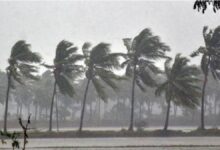 Karnataka Heavy Rainfall: Issued Yellow Alert in 13 Districts