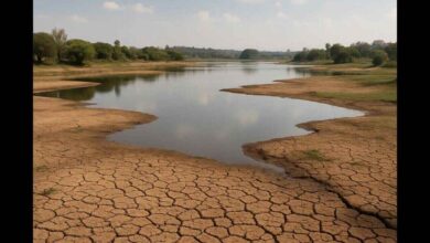 Karnataka May Add 25 More Taluks To Drought Hit List