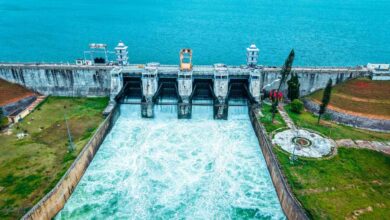 Karnataka Reservoir Water Levels on September 10: Almatti, Basava Sagar, KRS and Kabini Update